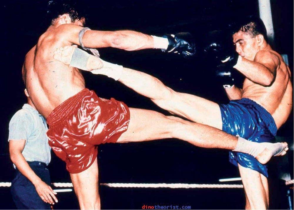 Kickboxing Fighting